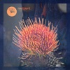 Afro Chooz (DJ CHUS Remix) cover art