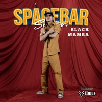 Big Fan (feat. Black Mamba) - Single - Skathi Entertainment Nasto-Swagsto