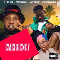 Emergency (feat. Zinoleesky, Lil Frosh & Steven Adeoye) - Single - Dj Silver
