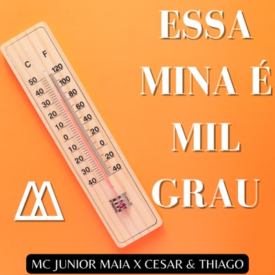 Essa Mina É Mil Grau - Single