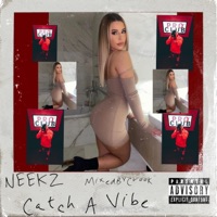 Catch a Vibe - Single - Neekz$