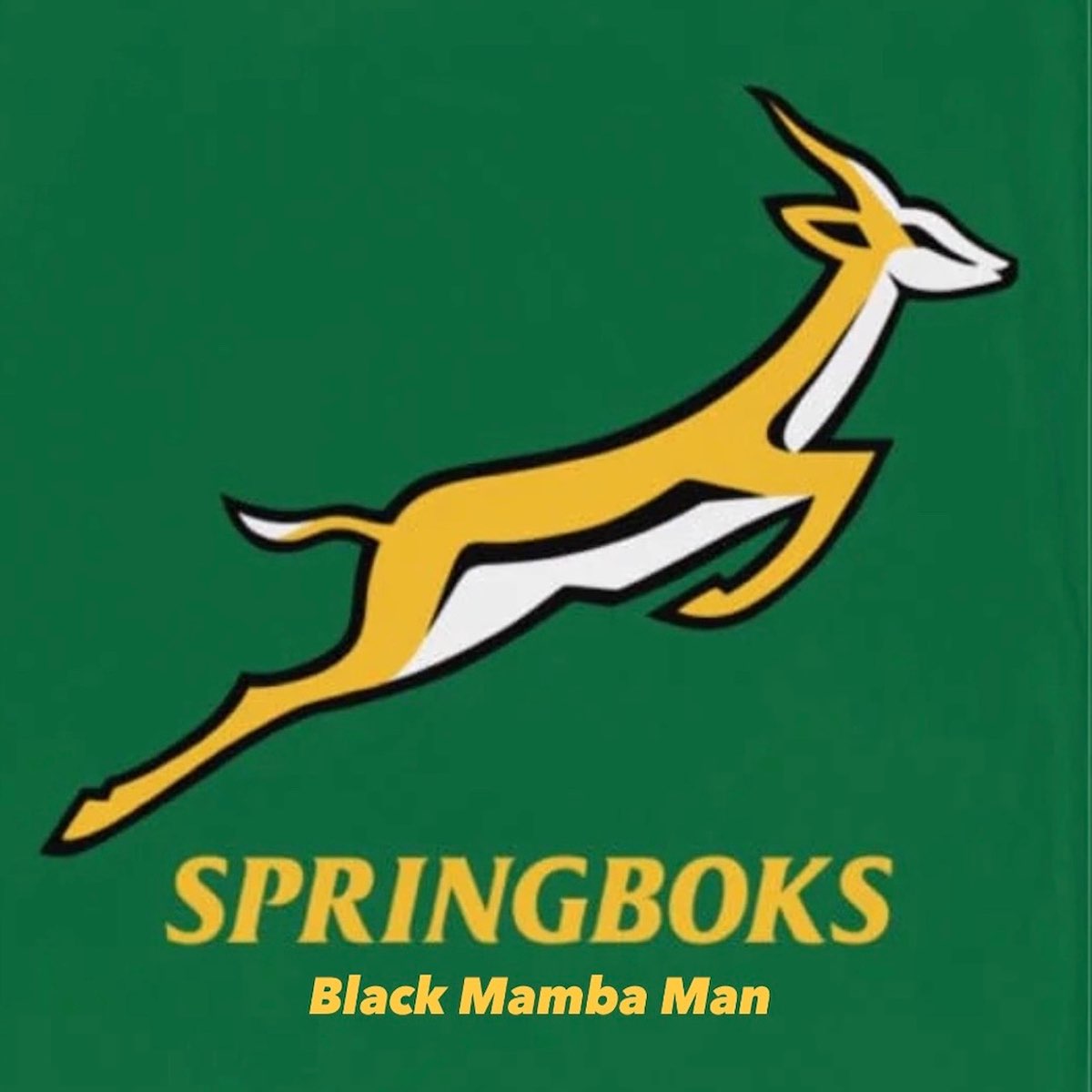 Springboks - Single - Black Mamba Man의 앨범 - Apple Music Apple Music에서 감상하는 Black Mamba Man의 Springboks - Single