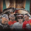 Perreo (feat. Viky Faribley El Felo DR y El Pochi) [Special Version] - Single