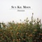 Damian - Sun Kil Moon lyrics