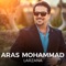 Amine - Aras Mohammad lyrics