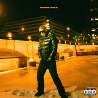 Sanottavaa - Single - ROBIN