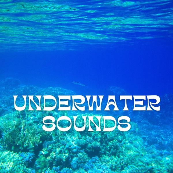 Underwater Sounds for Deep Relaxation