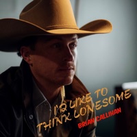 I'd Like to Think Lonesome - Single - Brian Callihan