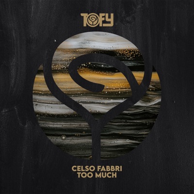 Too Much - Single