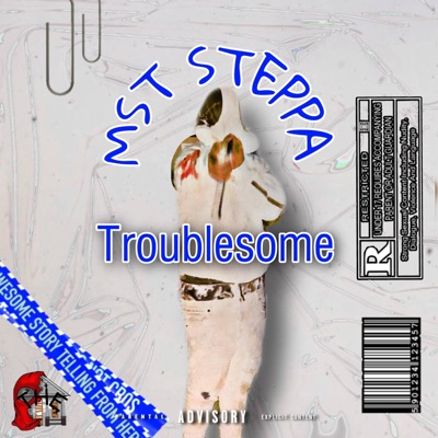 Troublesome Freestyle (Remix) - Single