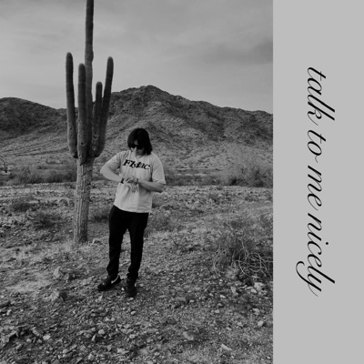 Talk To Me Nicely - Single