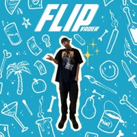 Flip - Single - Vader the Villin