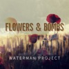 Flowers & Bombs - Single