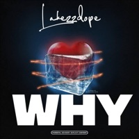 Why - Single - Lakezzdope