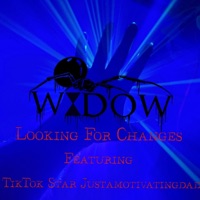 Looking For Changes (feat. TikToc star Justamotivatingdad) - Single - Widow