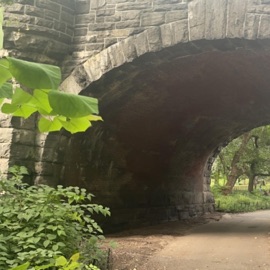 Side To Side carbine