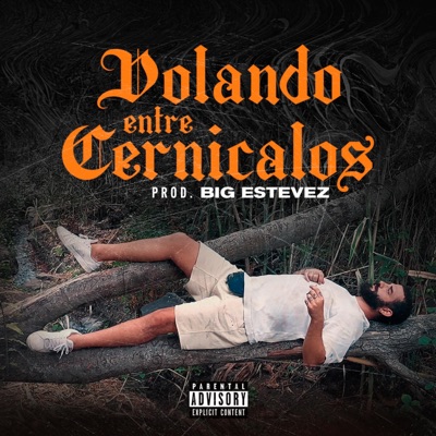 Volando entre cernicalos - Single