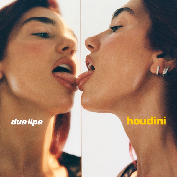 Album art for Houdini by Dua Lipa