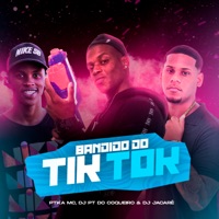Bandido do Tiktok - Single - Ptka Mc, Dj PT do Coqueiro & DJ JACARÉ