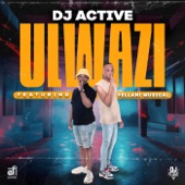 uLwazi (feat. Fellani Musical) artwork