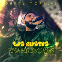 Los Gustos Del Chavalito - Single - Danny Morales