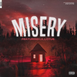 Misery (feat. Lil Lotus) Ray Vans