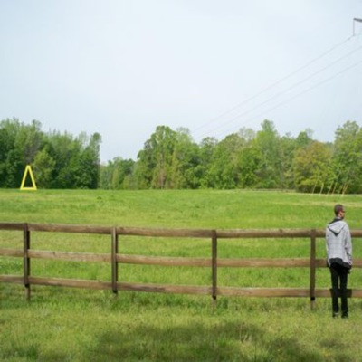 Alone In His Meadow Garden