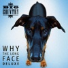 Why the Long Face (Deluxe)