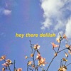 Hey There Delilah - Single