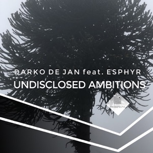 Undisclosed Ambitions - Single