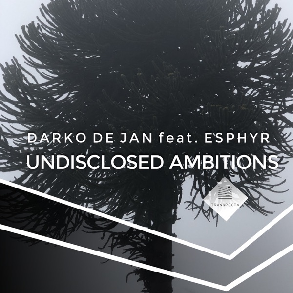 Undisclosed Ambitions - Single