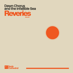 Reveries (feat. Marc Ertel) - Dawn Chorus and the Infallible Sea, zakè &amp; City of Dawn Cover Art