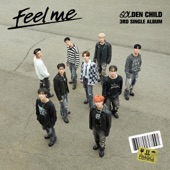 Feel me artwork