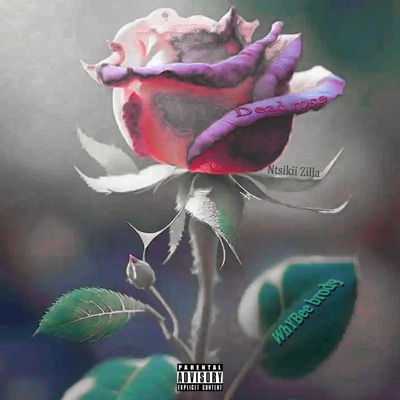 Dead rose (feat. Ntsikii Zilla) - Single
