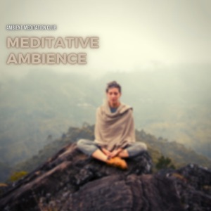 Meditative Ambience: Soothing Chill Tones