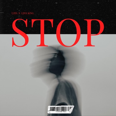 STOP (feat. Linx King) - Single