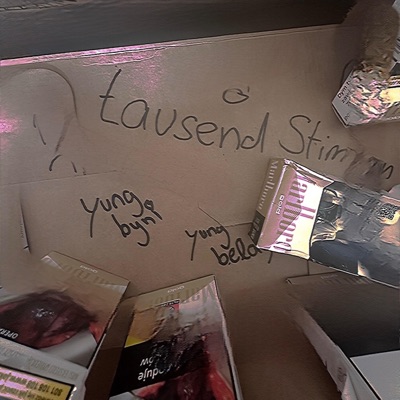 tausend stimmen - Single