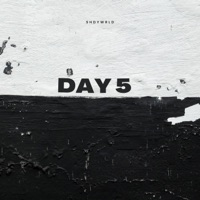 Day 5 Lofi - Single - ShdyWrld