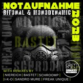 Notaufnahme 2023 (Niereich Remix) artwork