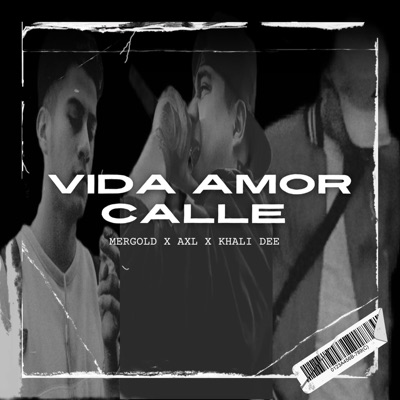 Vida, Amor Y Calle (feat. Khali Dee & Mergold) - Single
