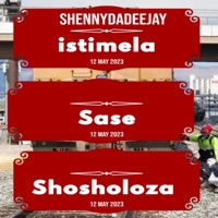 Ithikithi - Single - ShennyDaDeejay