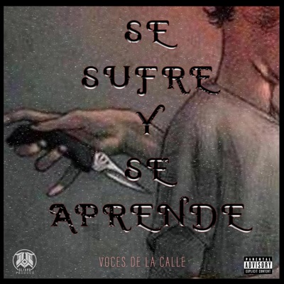 Se Sufre y Se Aprende (feat. Voces de la Calle) - Single