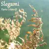 Flavia Celano - Slegami