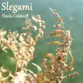 Slegami
