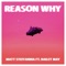 Reason Why (feat. Bailey May) - Matt Steffanina lyrics