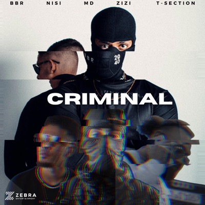 CRIMINAL (feat. Zizi & T Section) - Single
