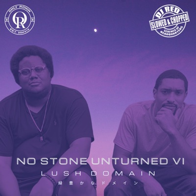 No Stone Unturned 6 (Slowed & Chopped) - EP