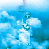 Wild (Terry Zhong Remix) artwork