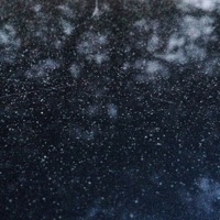 Opacity - Jason van Wyk