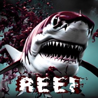 Reef - Single - COSTCO & ONEKES